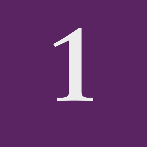 1 1: The Consultation